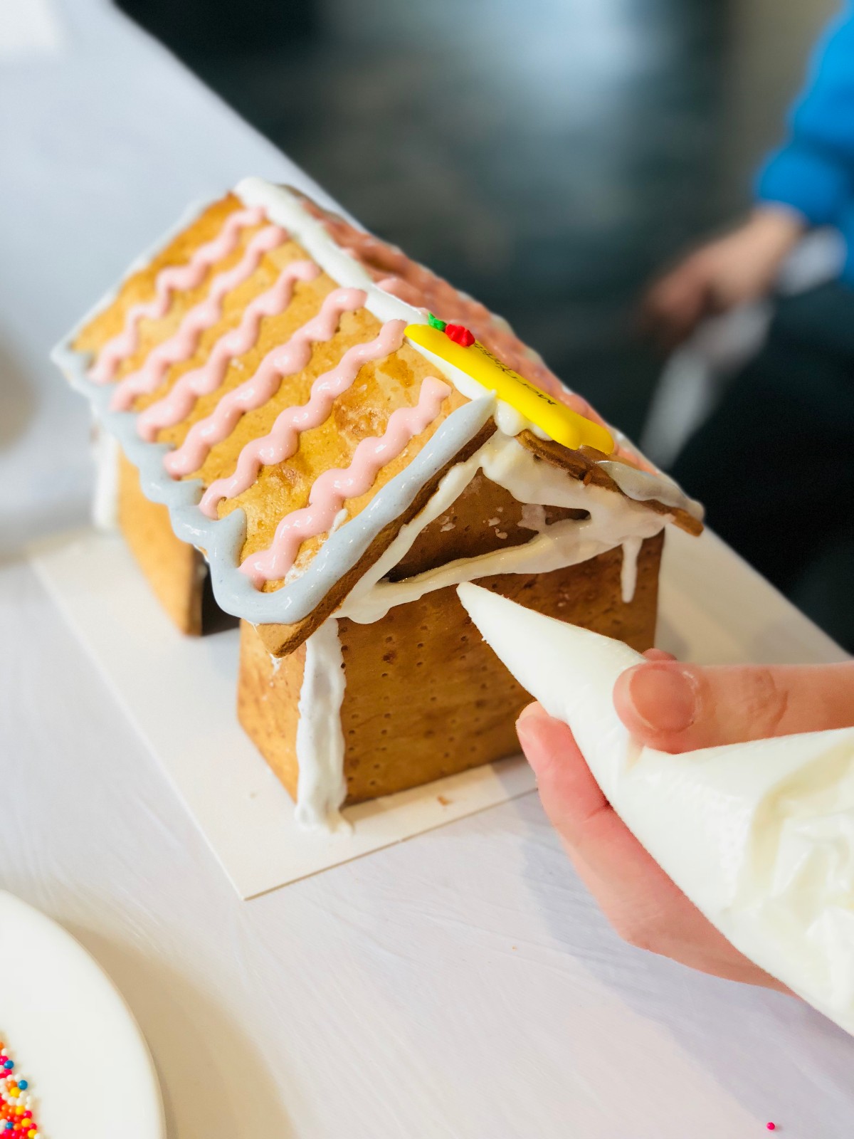 蘇州積水住宅姜餅屋diy